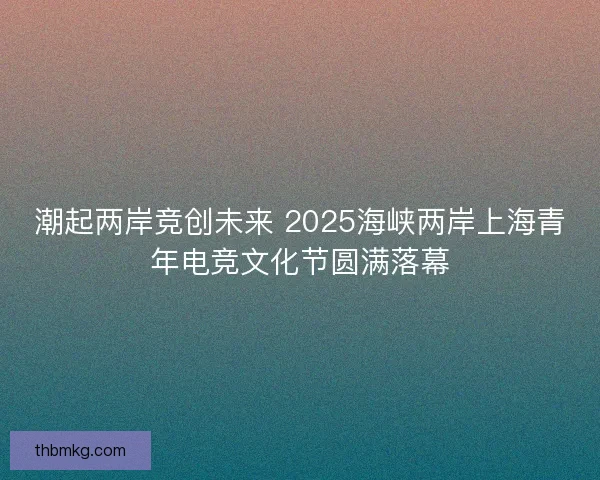 潮起两岸竞创未来 2025海峡两岸上海青年电竞文化节圆满落幕