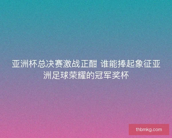 亚洲杯总决赛激战正酣 谁能捧起象征亚洲足球荣耀的冠军奖杯