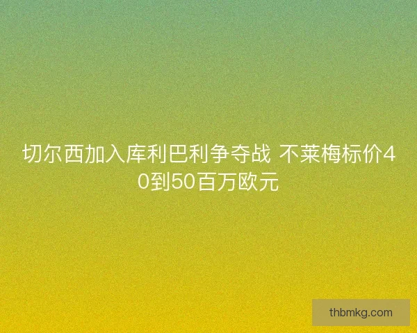 切尔西加入库利巴利争夺战 不莱梅标价40到50百万欧元
