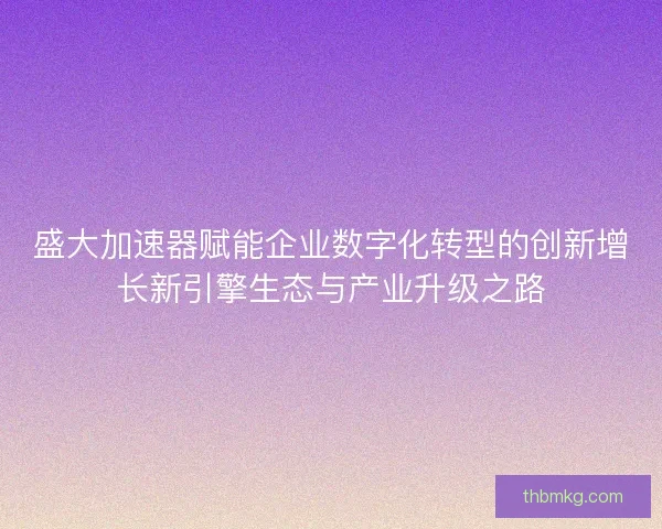 盛大加速器赋能企业数字化转型的创新增长新引擎生态与产业升级之路